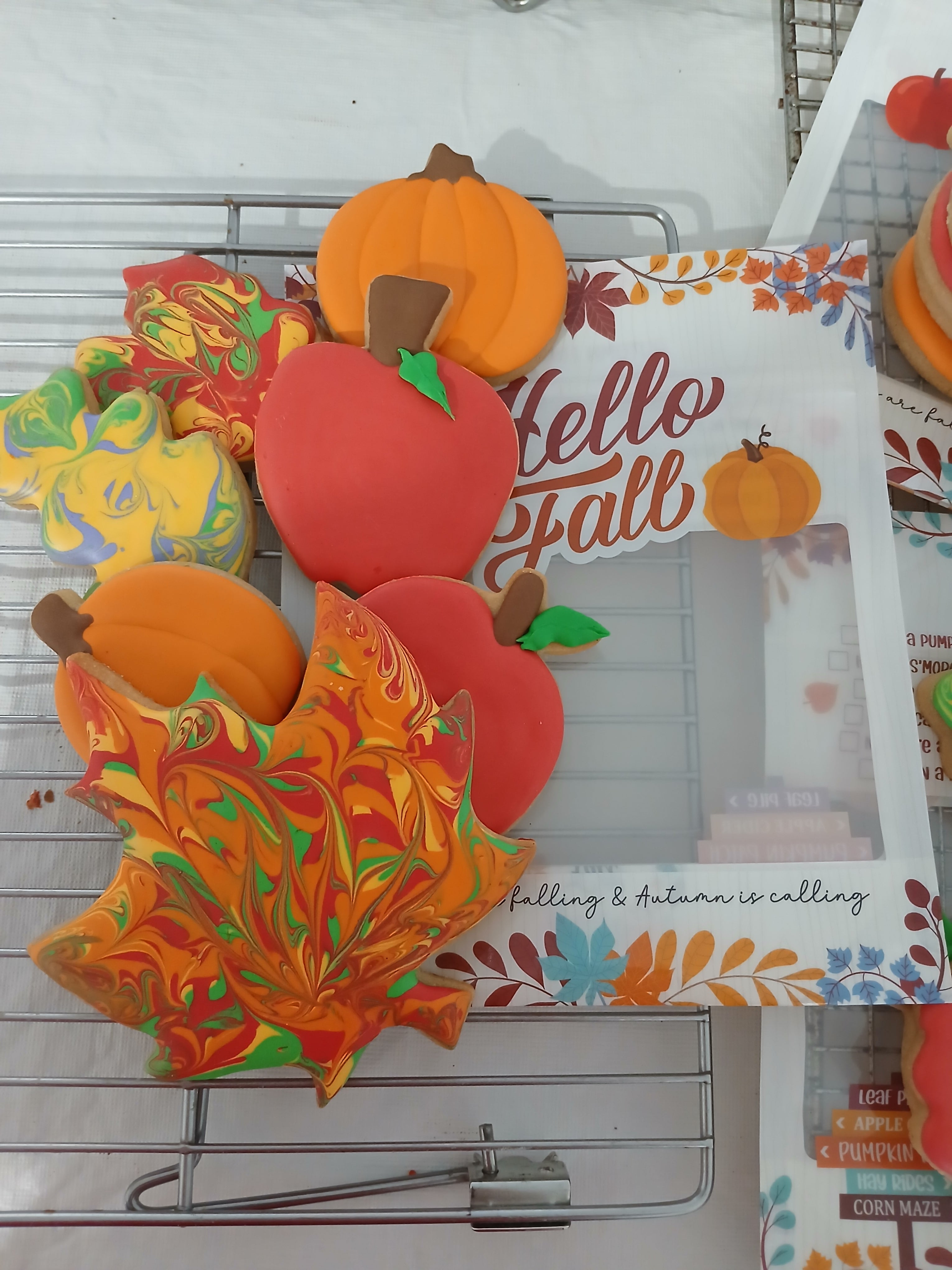 Bag of Decorated Cookies